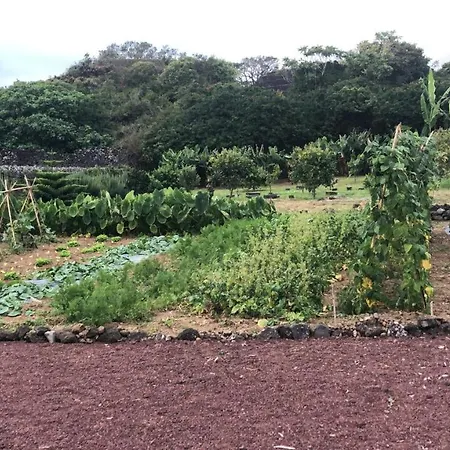 Casa Da Malta Livramento