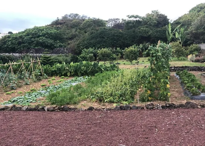 Casa Da Malta Livramento